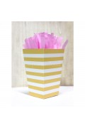 Horizontal Stripes Popcorn Box